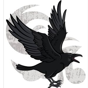 Meet your Posher, Analyn